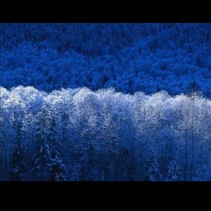 Meet your Posher, Robin